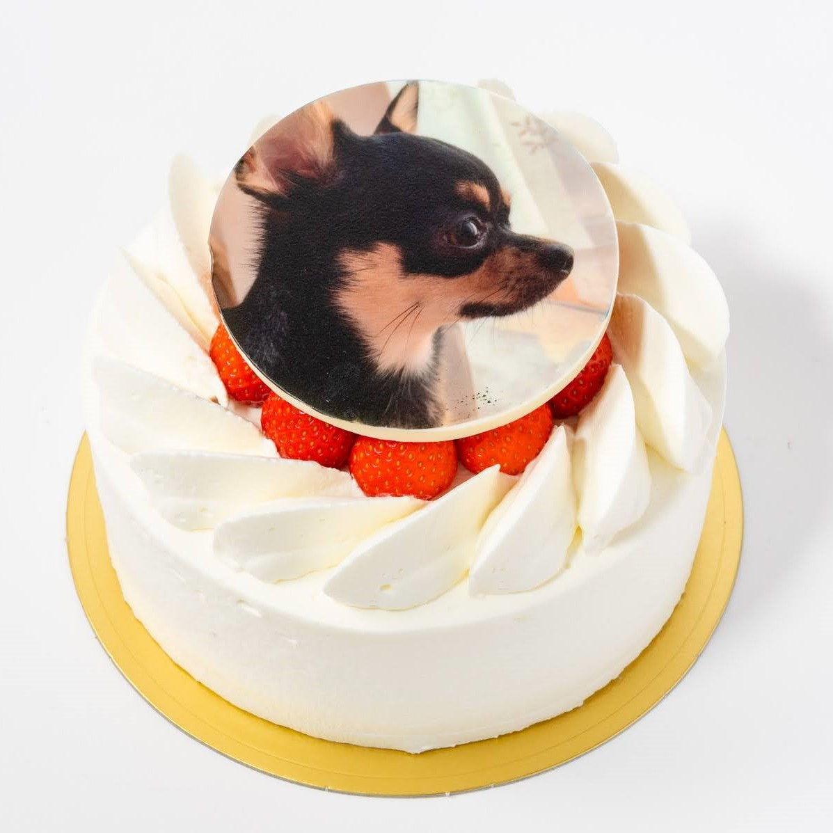 ピクチャープレート